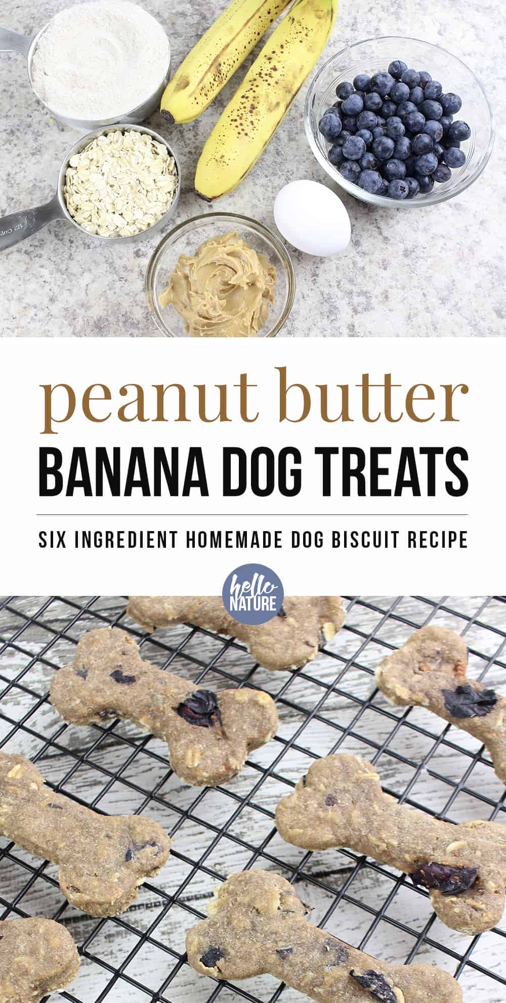 easy dog cookie recipes